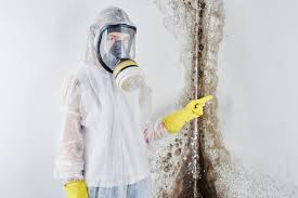 Best Residential Mold Inspection & Testing  in Hoffman Estates, IL